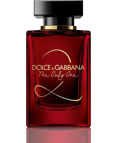 perfume dolce gabbana mujer macy's|dolce and gabbana perfume website.